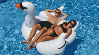 Here's a Giant Inflatable Swan For $24, Because Why Not?